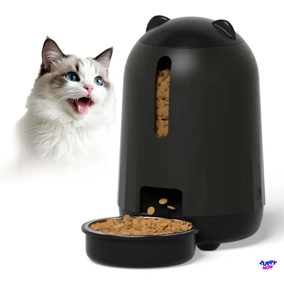 Smart Auto Cat Feeder 3L | Timed Food Dispenser with Dual Power & Portion Control