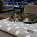 Self-Warming Pet Mat | Ultra-Plush Heated Pad for Cats & Dogs — No Electricity Needed