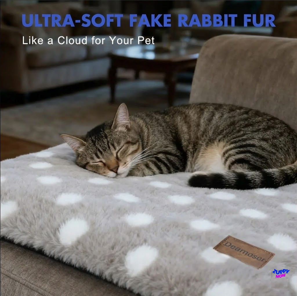 Self-Warming Pet Mat | Ultra-Plush Heated Pad for Cats & Dogs — No Electricity Needed