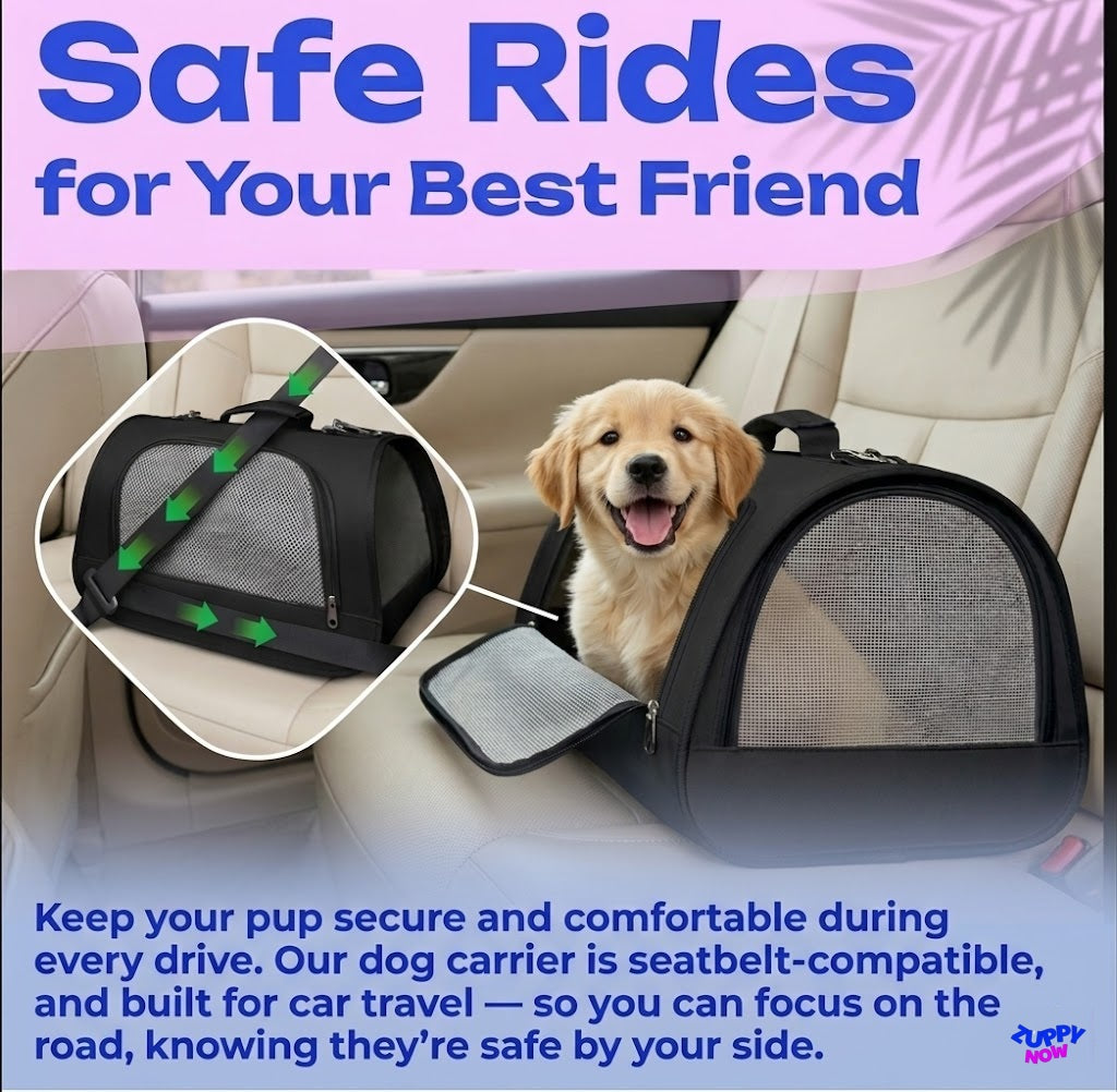 Universal 3-in-1 Comfort Travel Pet Carrier