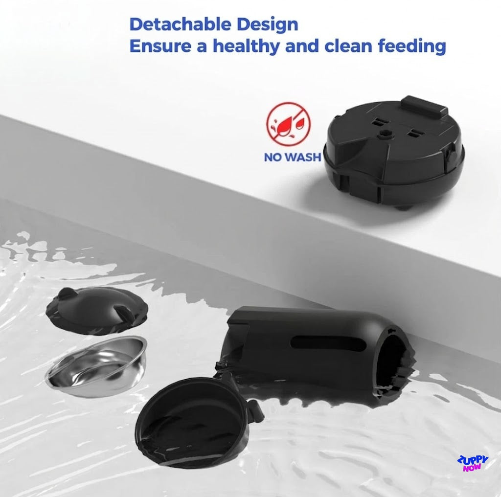Smart Auto Cat Feeder 3L | Timed Food Dispenser with Dual Power & Portion Control
