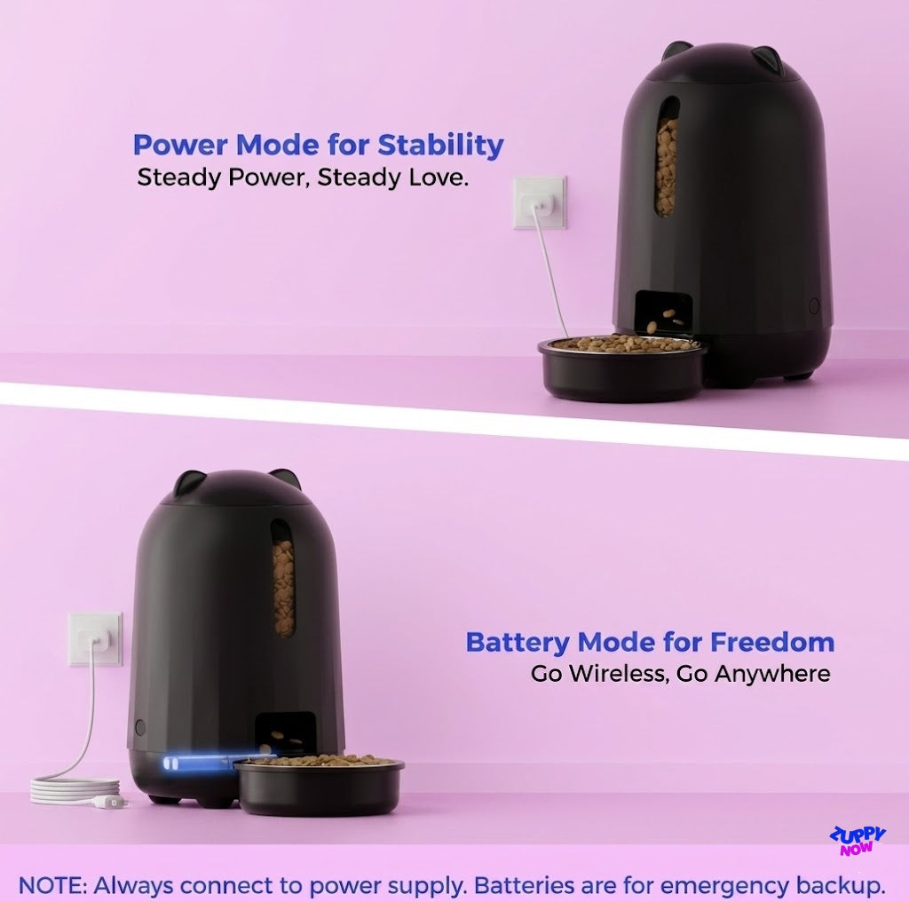 Smart Auto Cat Feeder 3L | Timed Food Dispenser with Dual Power & Portion Control