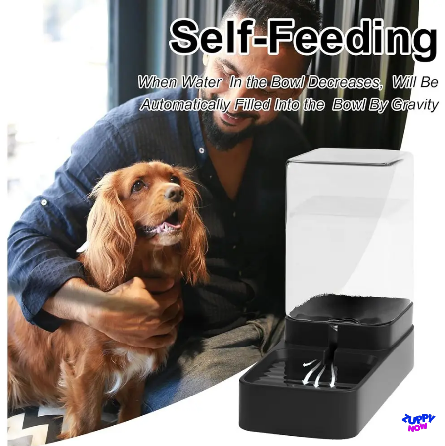2-in-1 Gravity Pet Feeder & Water Dispenser Set | Auto Food & Water Bowl for Cats & Dogs