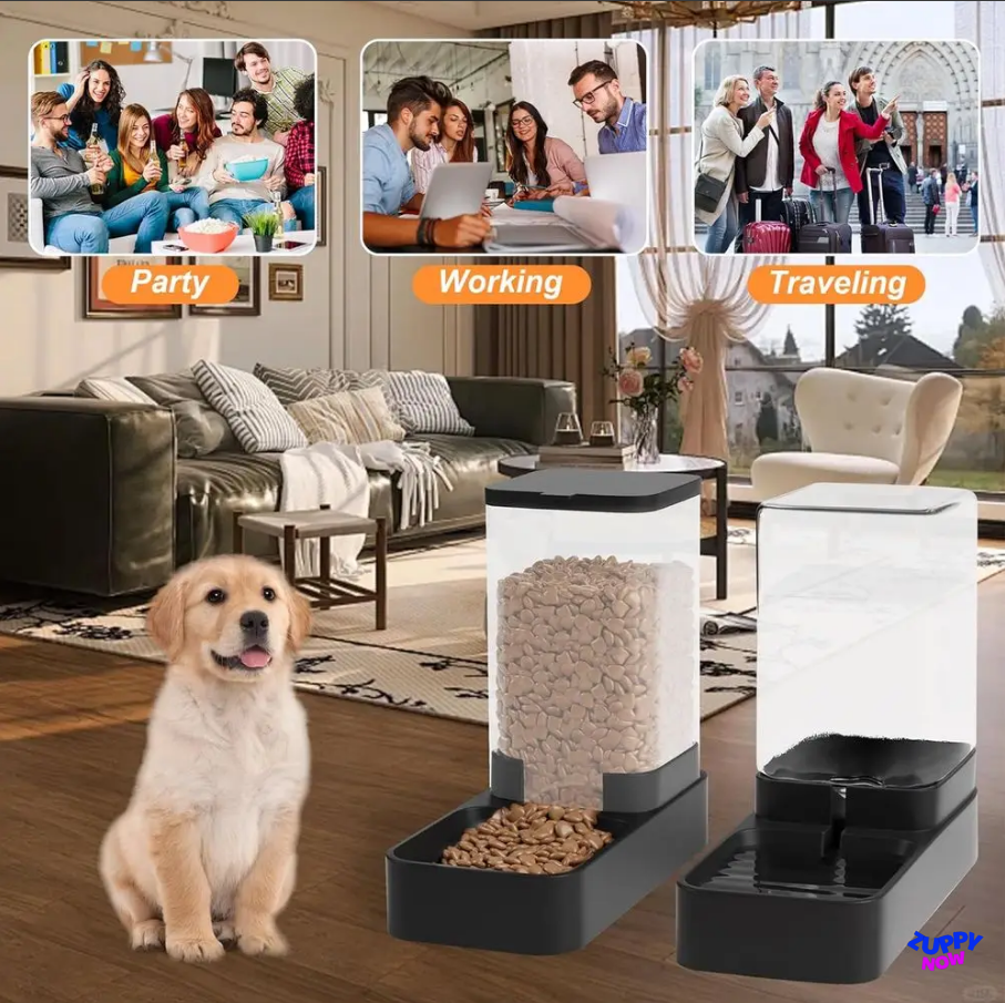 2-in-1 Gravity Pet Feeder & Water Dispenser Set | Auto Food & Water Bowl for Cats & Dogs