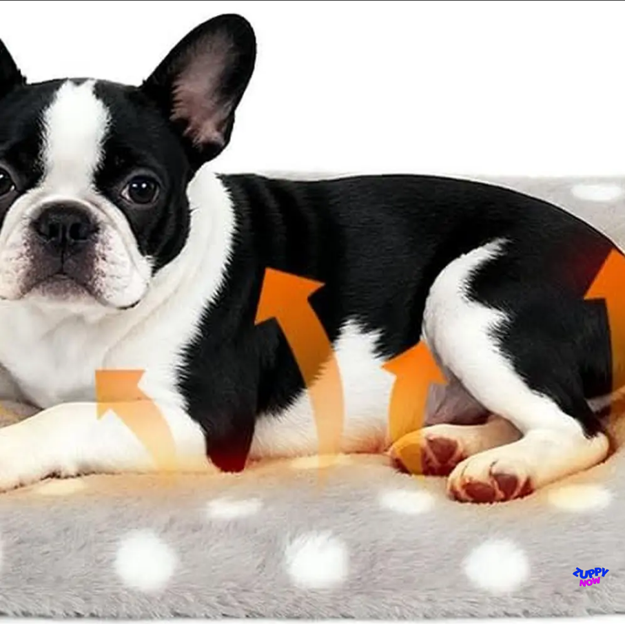 Self-Warming Pet Mat | Ultra-Plush Heated Pad for Cats & Dogs — No Electricity Needed