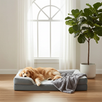 Orthopedic Dog Bed for Large Dogs | Egg Crate Foam Sofa Bed with Washable Waterproof Cover